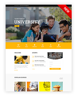 Education WordPress Theme - Education WP