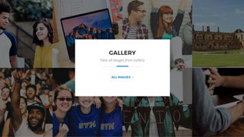gallery e1503394770314