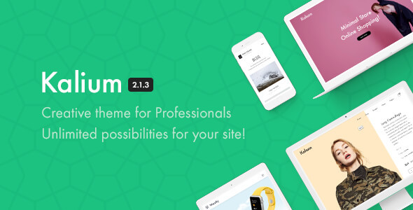 LMS-WordPress-theme-Kalium