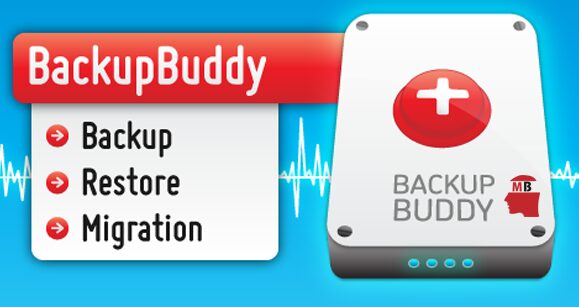 backup buddy for web developer