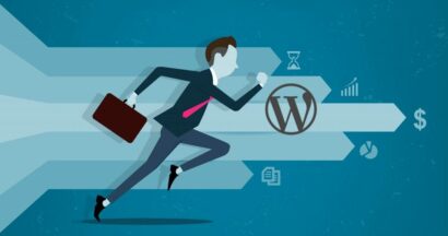 optimize wordpress performance