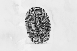wordpress security
