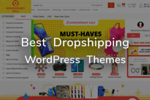 best dropshipping wordpress themes