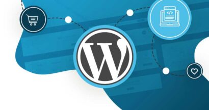 guide to manage a wordpress web development project