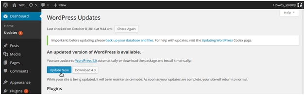 update wordpress-against DDoS attacks