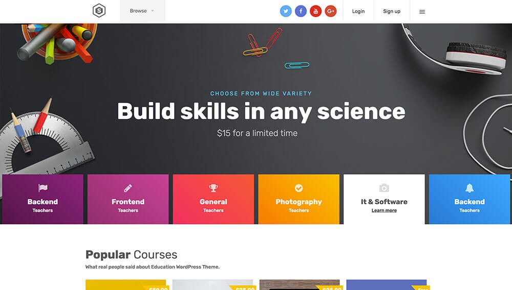 skilled wordpress theme