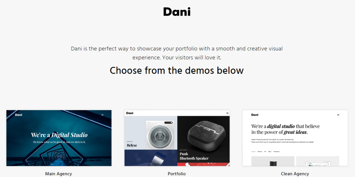 Portfolio WordPress Themes: Dani Demos