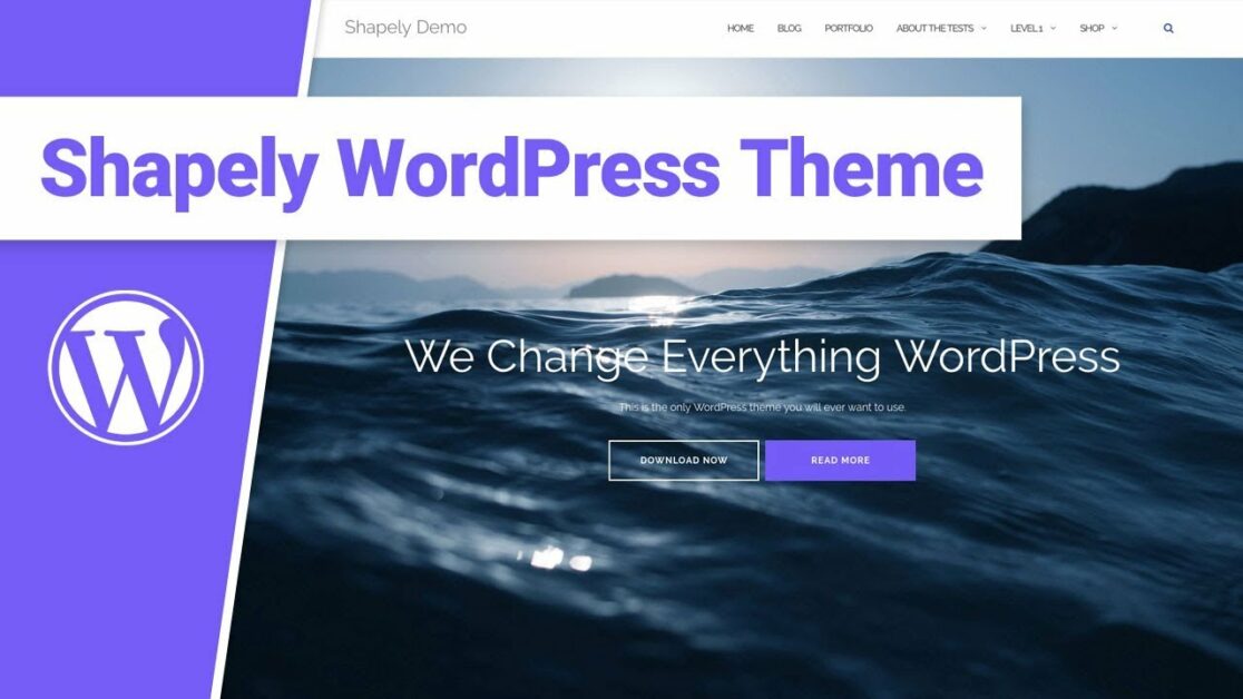 shapely wordpress theme