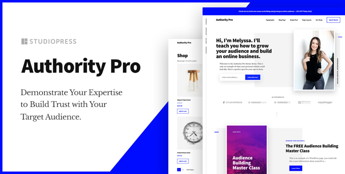 Best WordPress Themes: Authority Pro