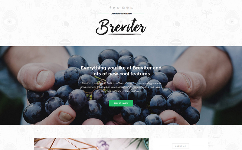 breviter wordpress theme