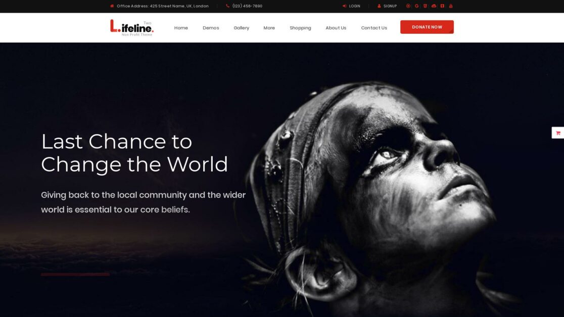 lifeline 2 wordpress theme