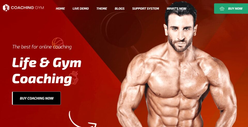 coaching aquaman king of life&fitness wordpress theme