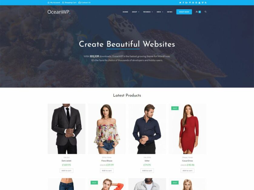 oceanwp wordpress theme