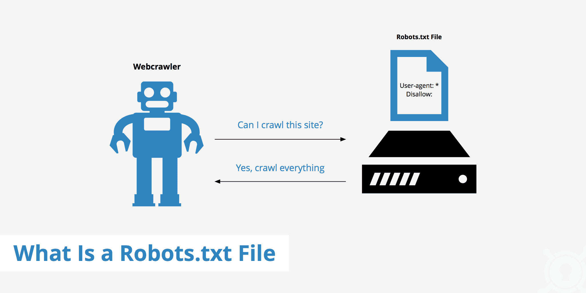 robots.txt file