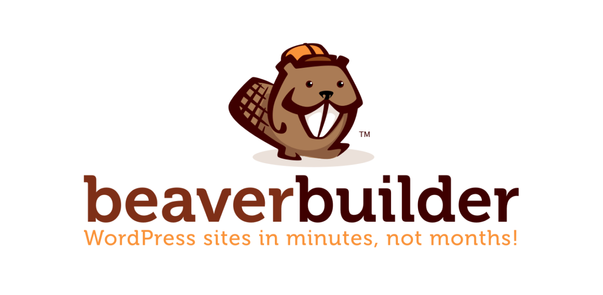 beaverbuilder Drag and Drop WordPress Page Builders