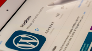 make money with wordpress