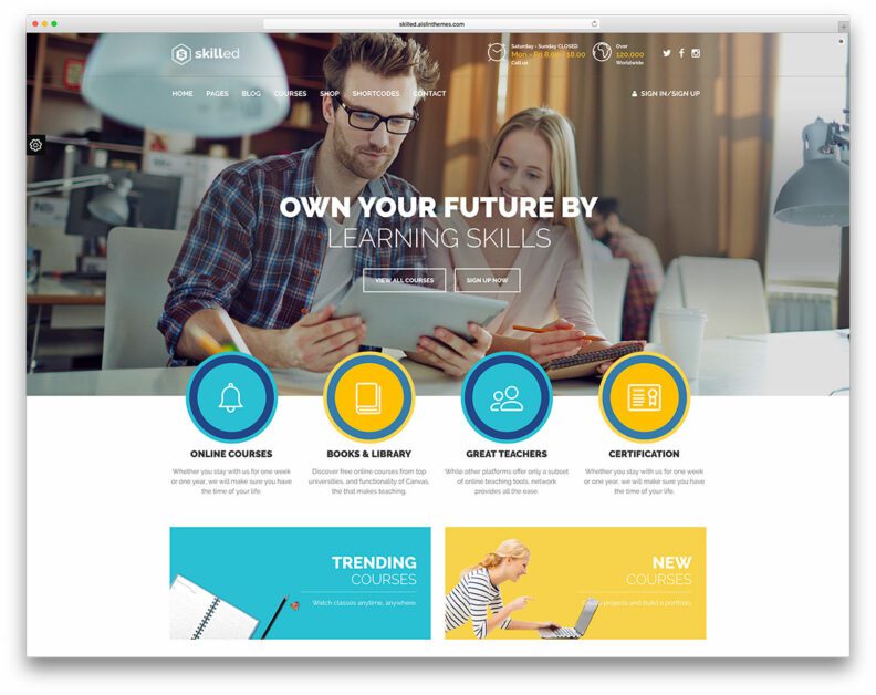 skilled creative online course website template