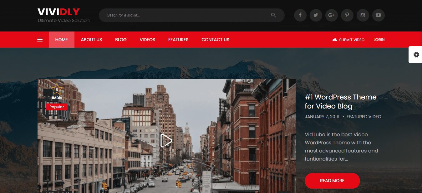 vividly wordpress video theme