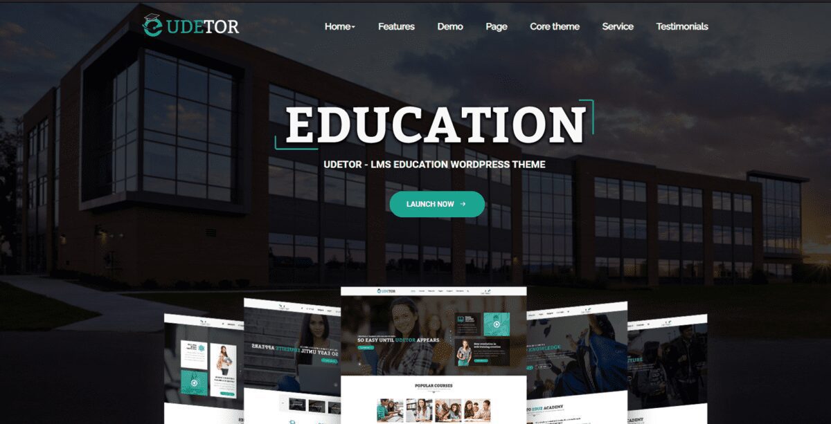 udetor wordpress theme