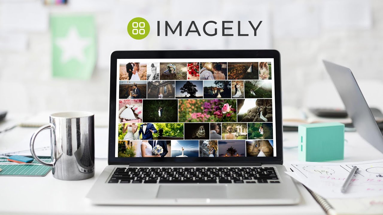 nextgen wordpress gallery plugin