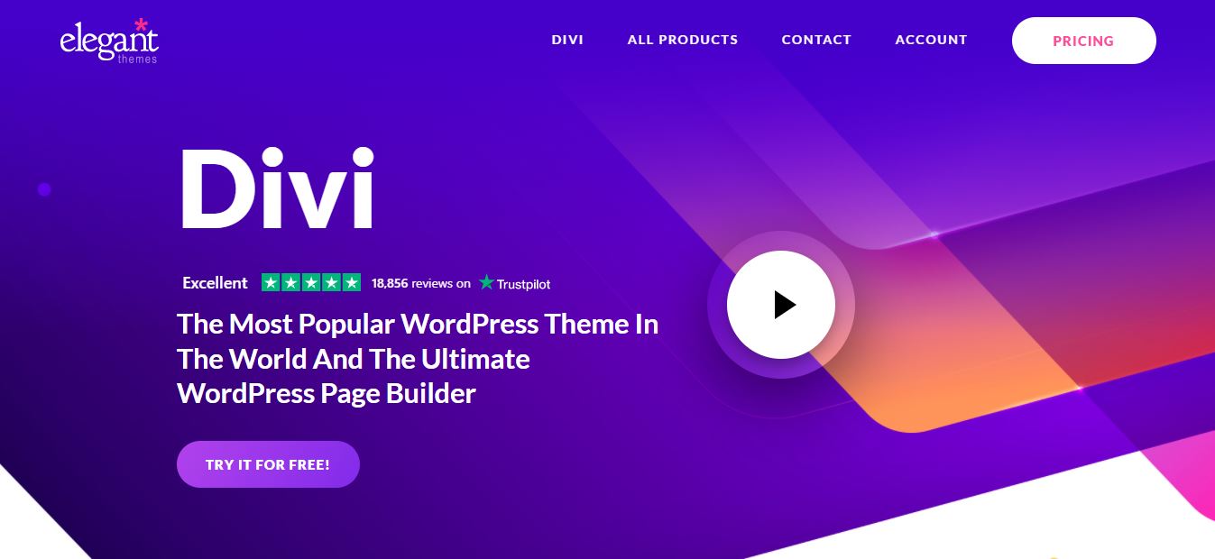 divi wordpress theme builder