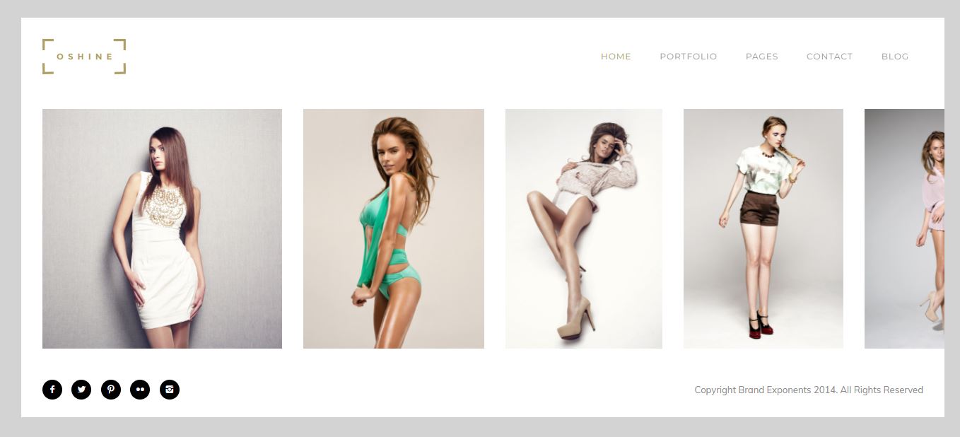 oshine wordpress photography themes