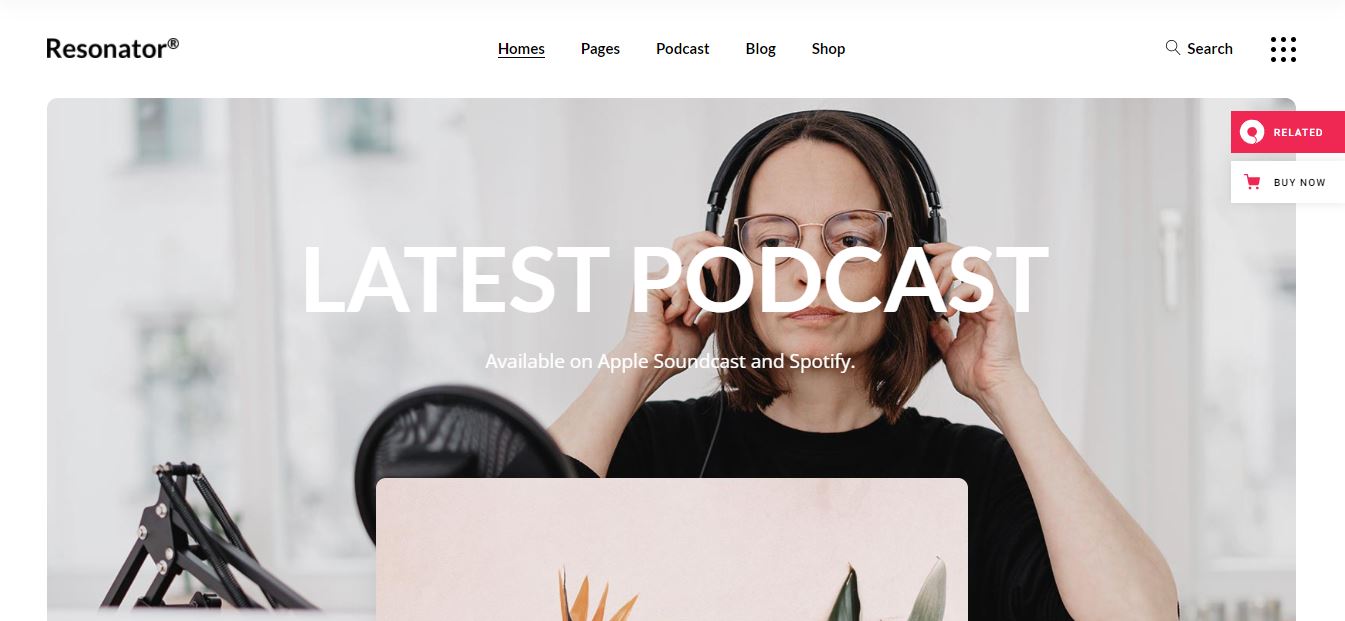 How to embed Spotify podcast on your WordPress website for FREE?