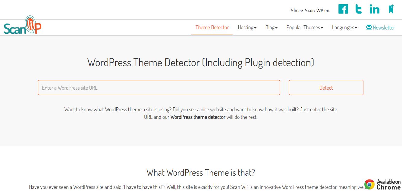 scan wp bring you the best theme detector