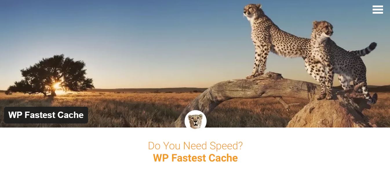 wp fastest cache