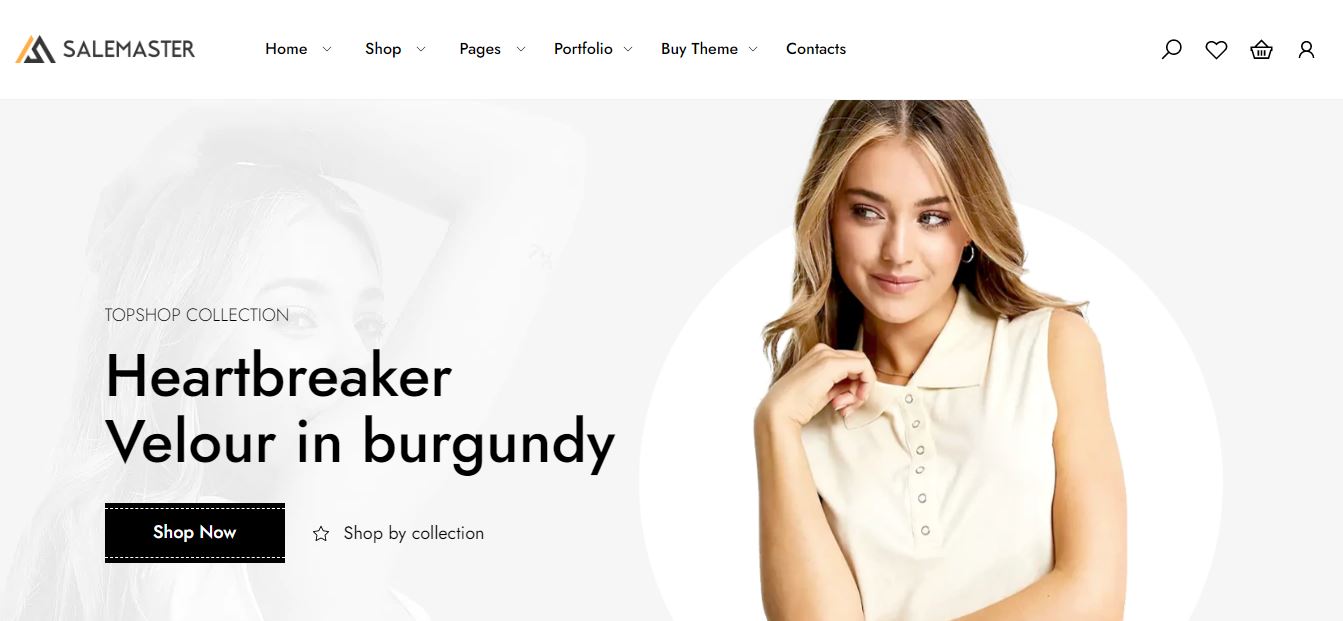 shopify tips salemaster