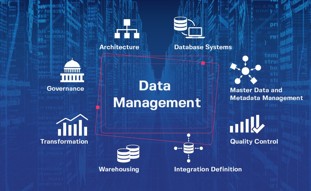 business efficiency and data management
