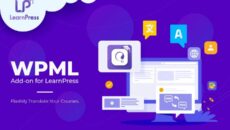 WPML addon 690x460