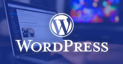 build a wordpress website