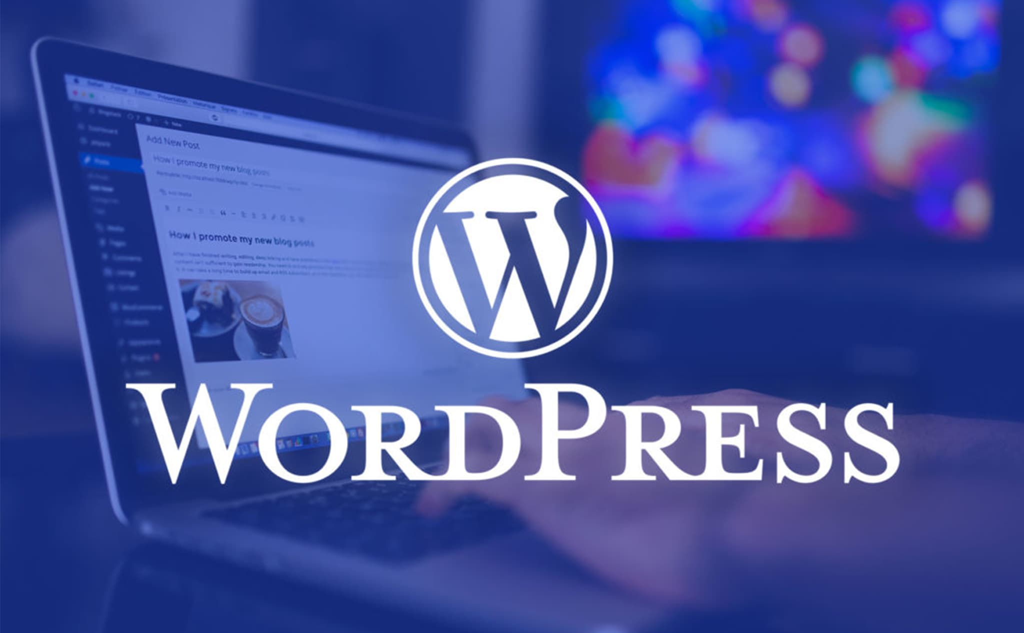 build a wordpress website