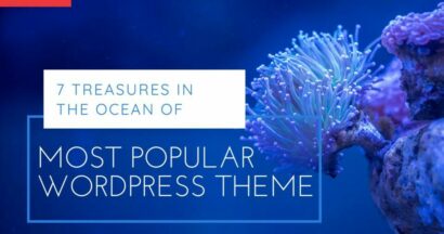 most popular wordpress theme