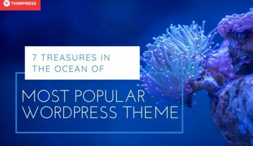 most popular wordpress theme