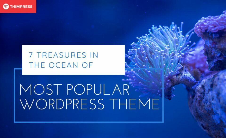 most popular wordpress theme