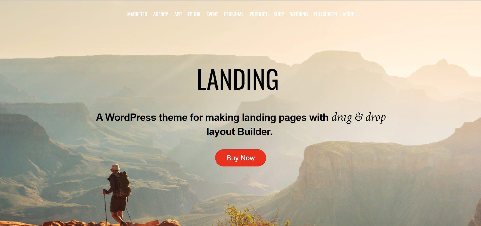 landing - lead the minimalism in the wordpress landing page combat