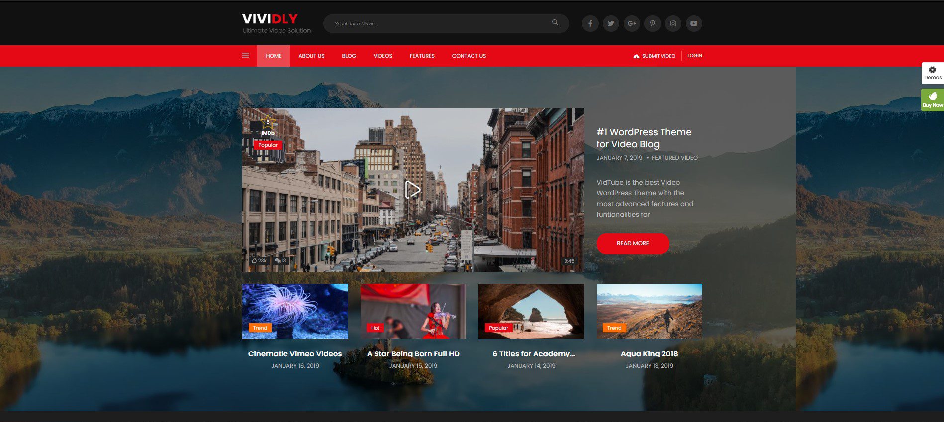 vividly - the stunning one of the best landing page wordpress themes