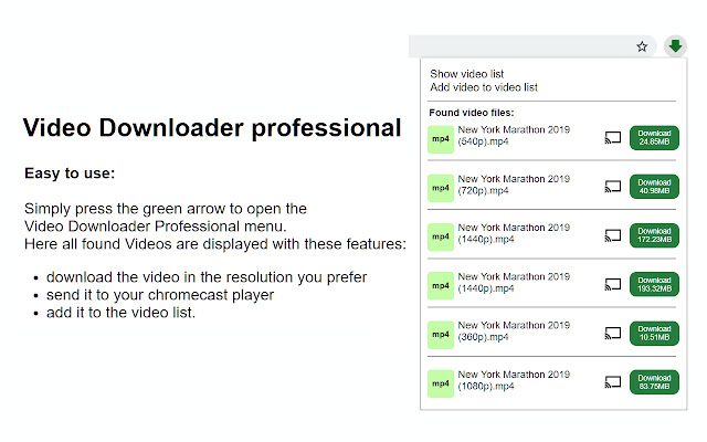 video downloader professional