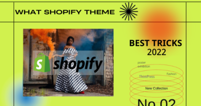 what shopify theme