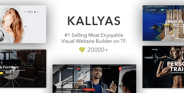 Best WP Theme for Teachers & Instructors Kallyas Preview