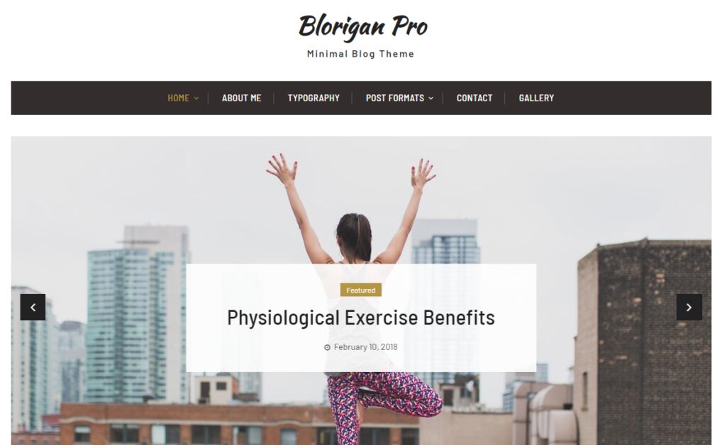 Blorigan Pro WordPress Theme