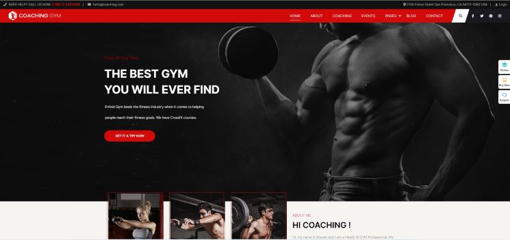 coaching leads the health coach wordpress theme team