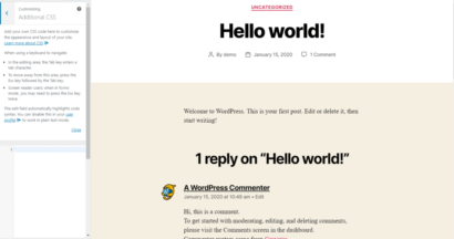 css for wordpress