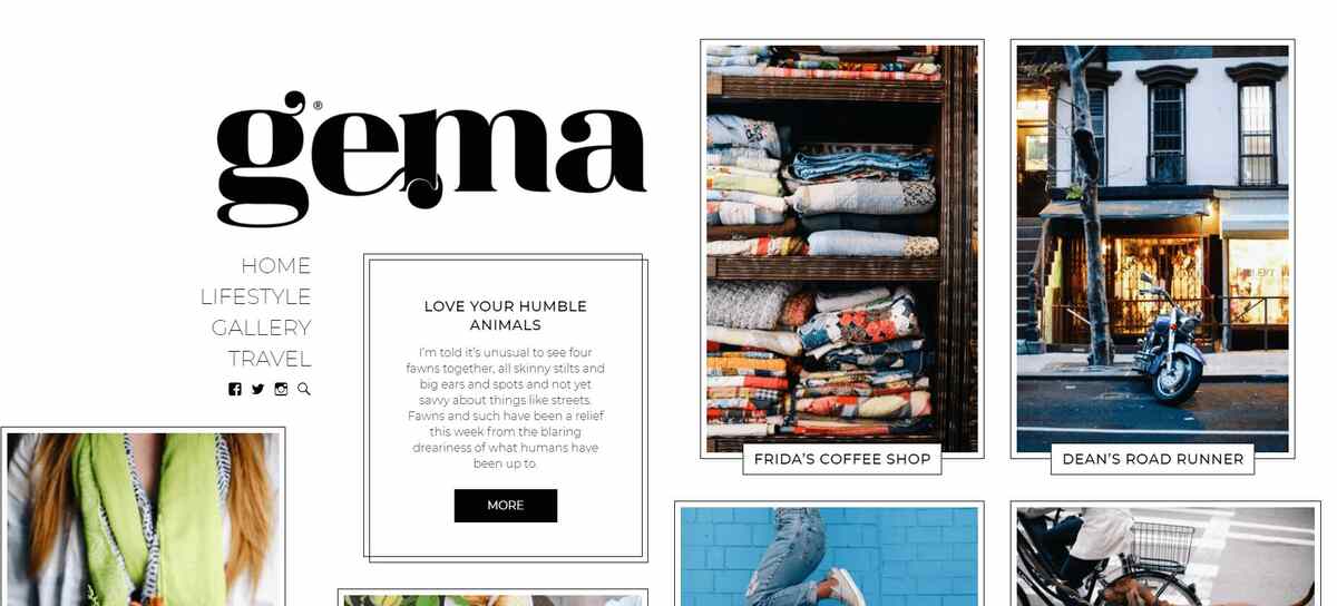 Best WordPress Themes: Gema