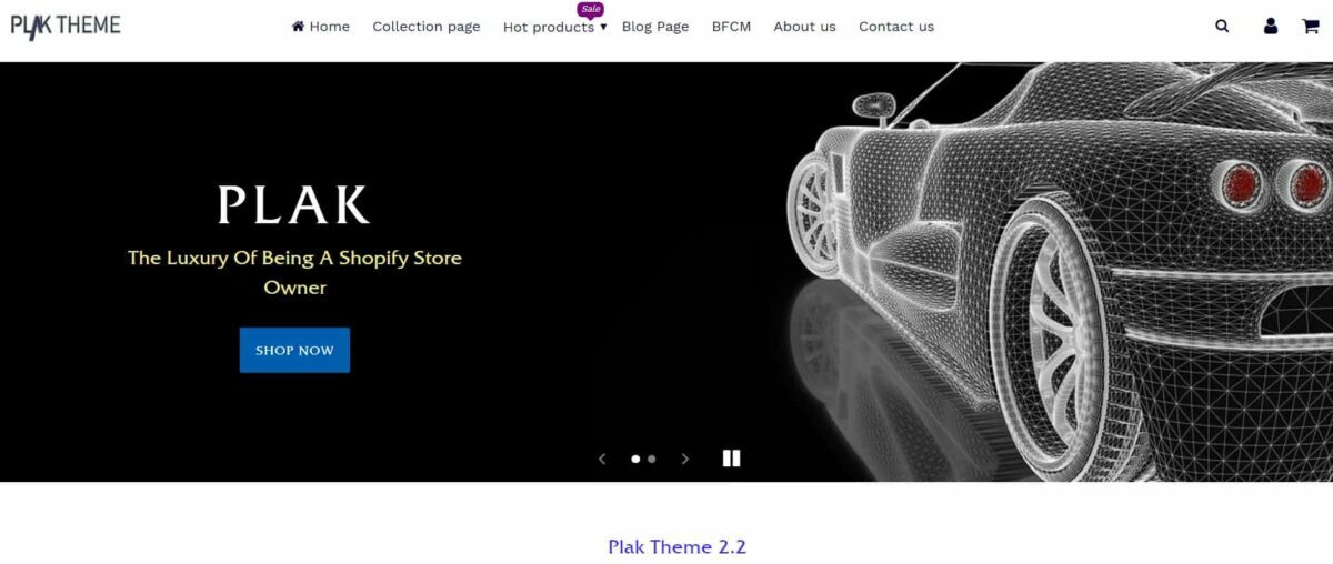 plak theme solve your ecommerce issues
