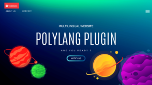 polylang plugin the 2023 best tool to build a multilingual website