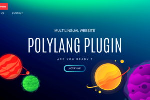 polylang plugin the 2023 best tool to build a multilingual website