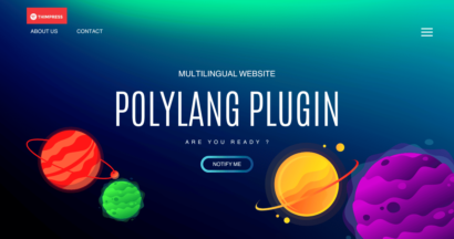 polylang plugin the 2023 best tool to build a multilingual website